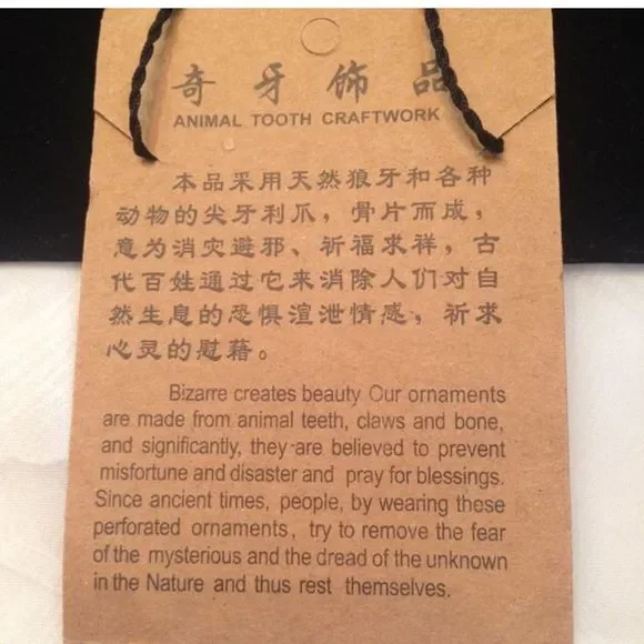 Vintage Boho Animal Tooth Necklace - Picture 2 of 3